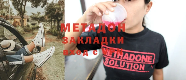 шишки Верея