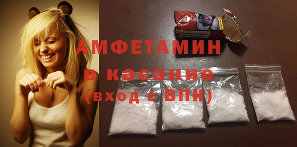 шишки Верея