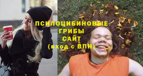 шишки Верея