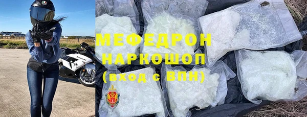 шишки Верея