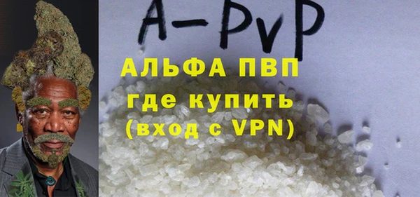 шишки Верея