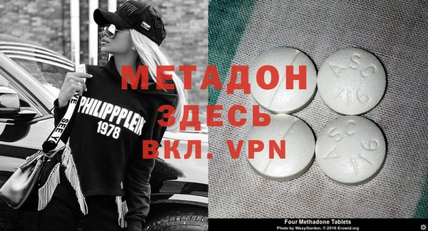 шишки Верея