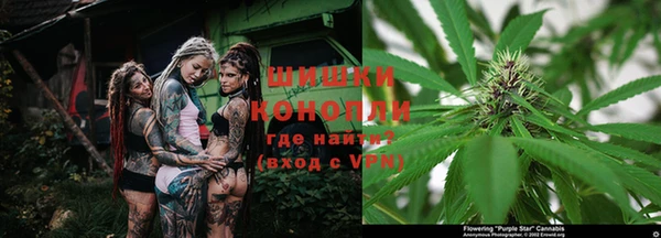 шишки Верея