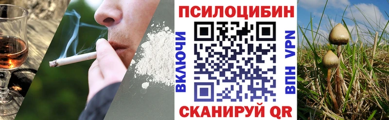Галлюциногенные грибы мицелий Подольск