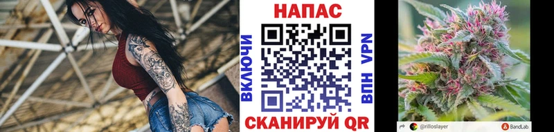 blacksprut   Подольск  Каннабис ГИДРОПОН 